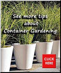 Container Gardening Pointer