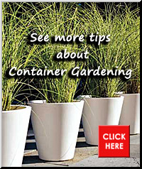 Container Gardening Pointer