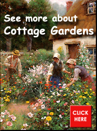 Cottage gardens pointer