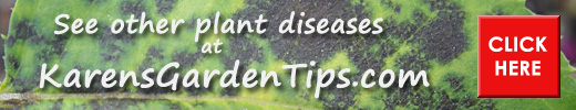 Plant Diseases Pointer