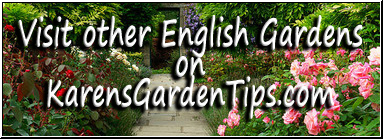 English garden pointer