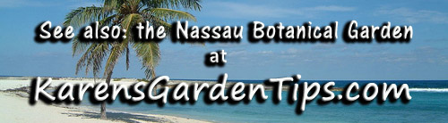 Nassau Botanical Garden pointer