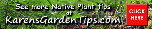 Native Plant Pointer