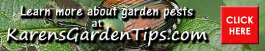 Garden Pest Pointer