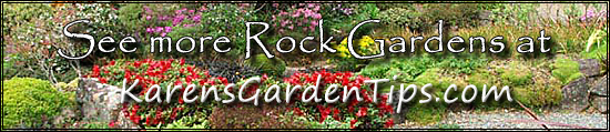 Rock Garden Pointer