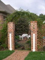 Entrance to Karen's secrete garden