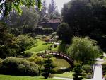Japanese Garden at The Huntington