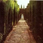 Cypressus Walkway