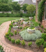 herb-garden-with-bay