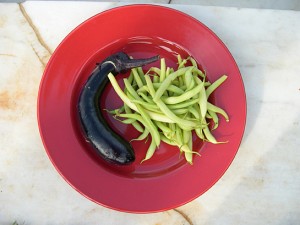 Eggplant Waxbeans