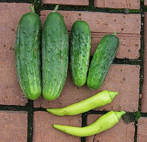 cukes-peppers