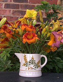 a daylilies in 1 vase