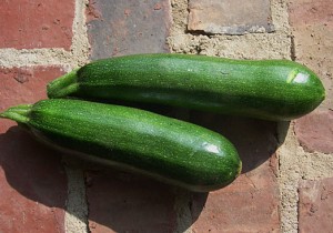 Zucchini