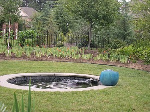 a iris bed planted