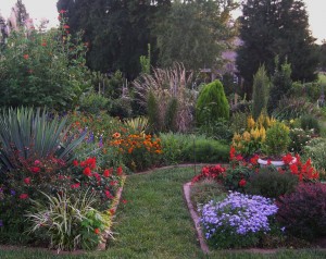 hot border and parterre