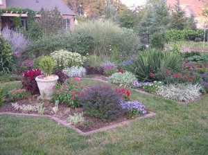 red border n parterre