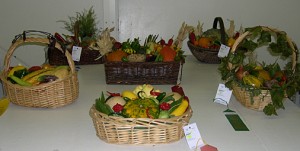 Veg Baskets