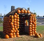 a pumpkin house