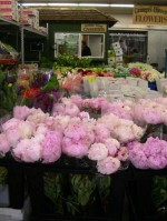 Peonies n other