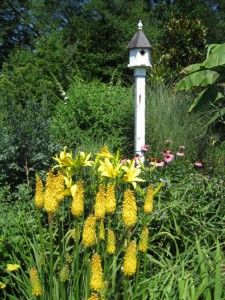 Poker n lilies