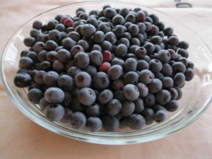 blueberries in bowl 2