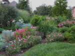 FG pk parterre 2