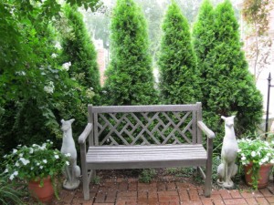 allee bench dogs