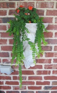 container patio wall