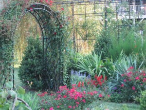 formal garden olive n red border