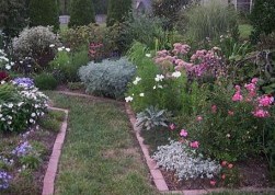 flowering plants