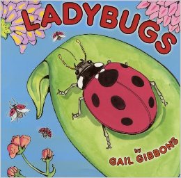 Ladybugs Gail Gibbons
