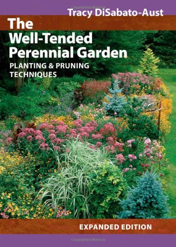 Well Tended Pernnial Garden