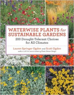 Waterwise Plants for Sustainable Gardens