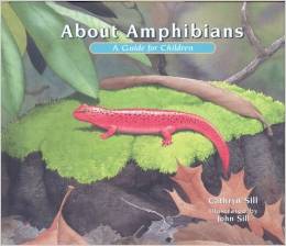 About Amphibians Sill