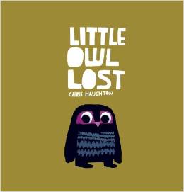 Little Owl Lost