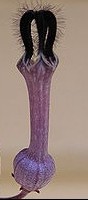 Ceropegia_woodii fl Wikipedia