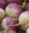 turnip