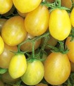 tomato yellow grape