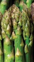 Asparagus Bundels