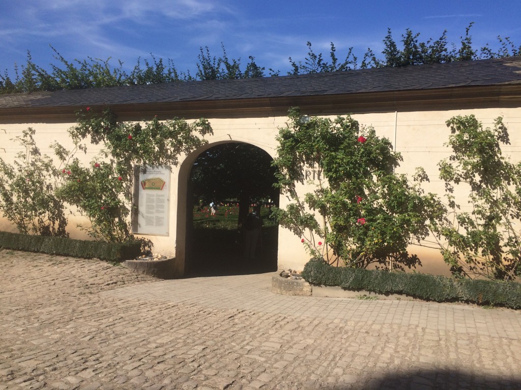 Bamberg rose garden gate