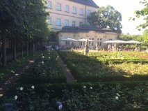 Bamberg rose garden overview