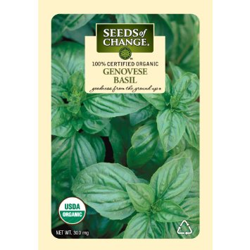 Basil 2