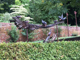 Melk birds on fallen tree