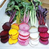 Beet seeds