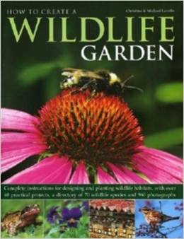 How to Create a Wildlife Garden