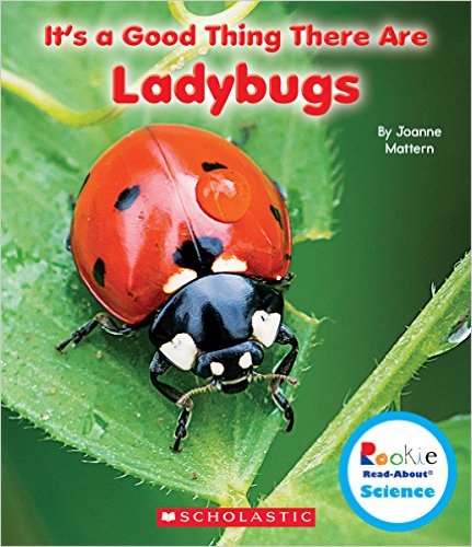 Its a Good Thing There ARe Ladybugs Mattern
