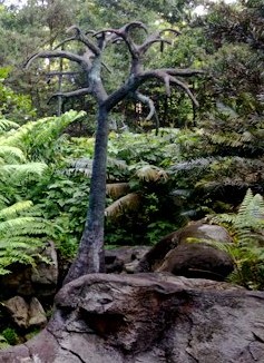 Evolution garden-fern-trees