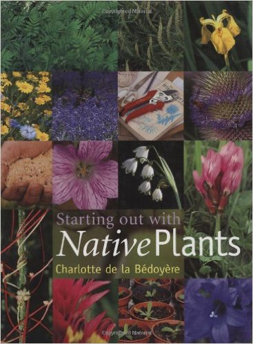 Starting out with native plants