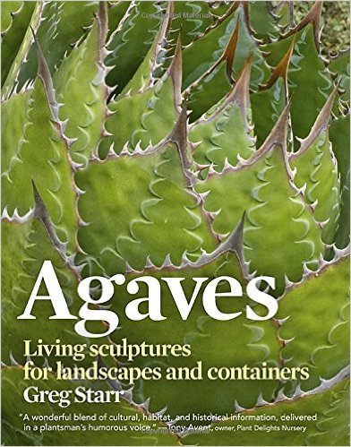 agaves