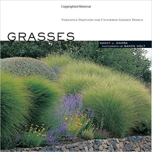 grasses